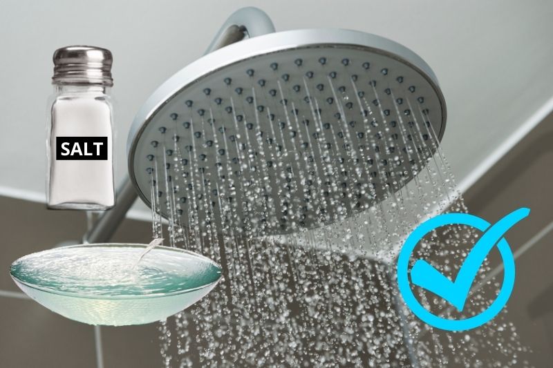 clean fixed shower head with salt and water