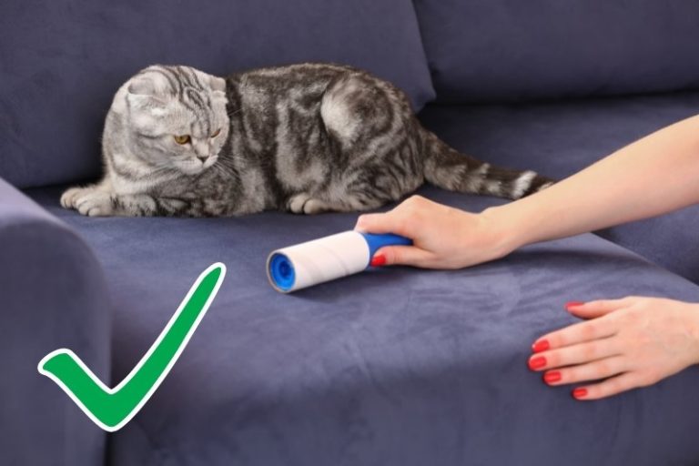 How to Wash Sofa Covers Without Shrinking Them