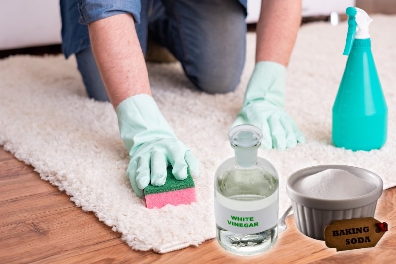 White Vinegar and Bicarbonate of Soda carpet cleaner recipe