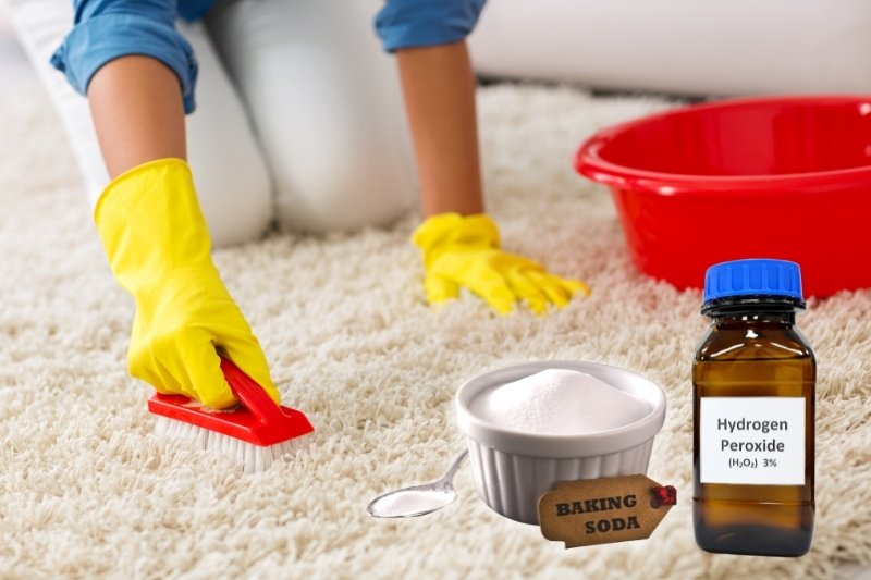 hydrogen peroxide and Bicarbonate of Soda carpet cleaner recipe