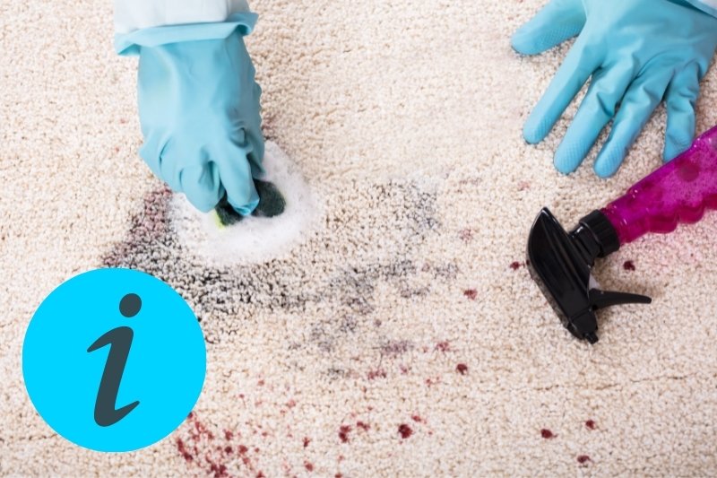 tips before carpet cleaning
