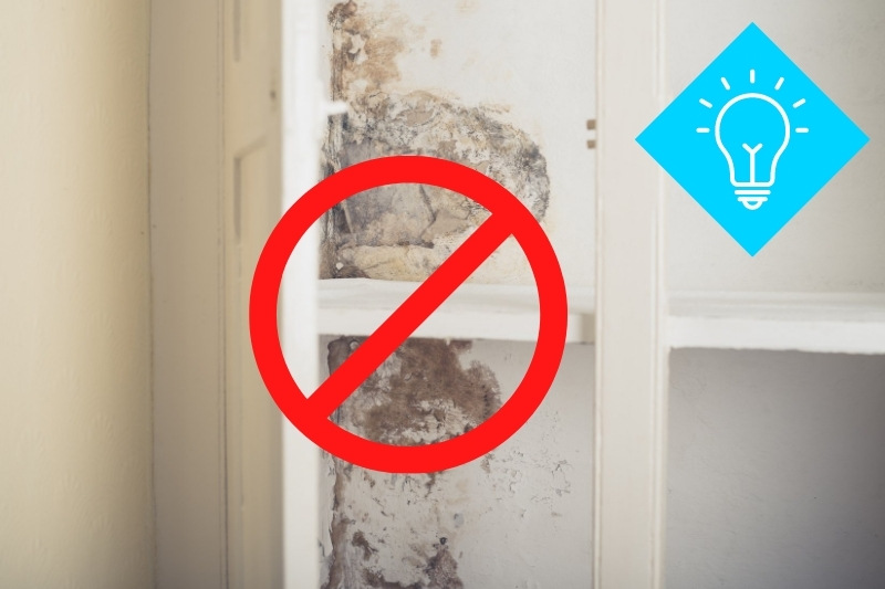 tips to limit spread of mould at home