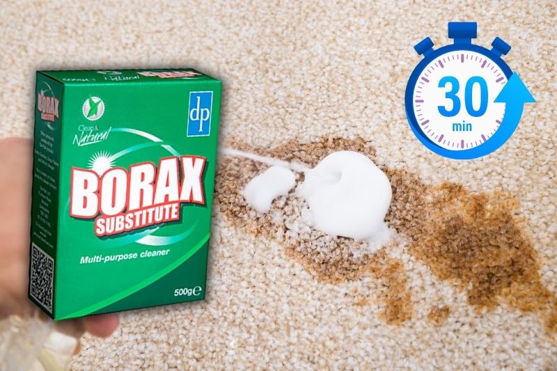 using borax substitute as carpet cleaner