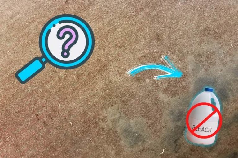 How to Remove Mildew from Fabric Without Bleach