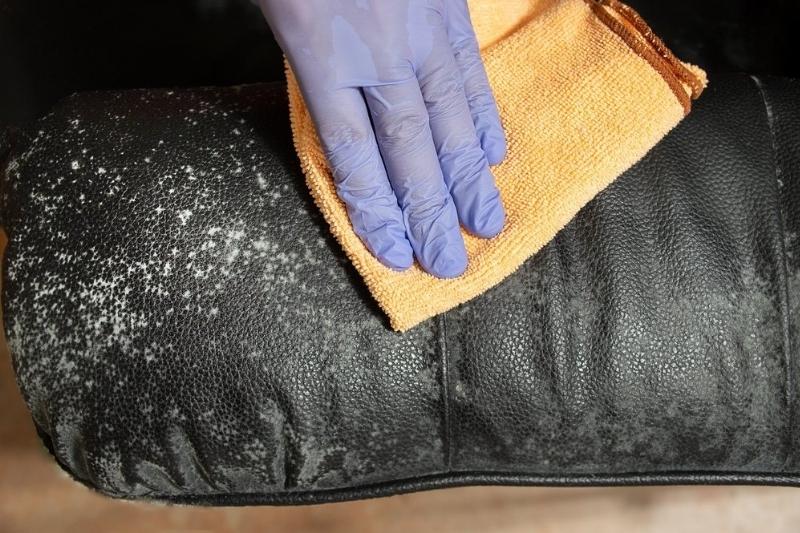mildew in leather fabric upholstery
