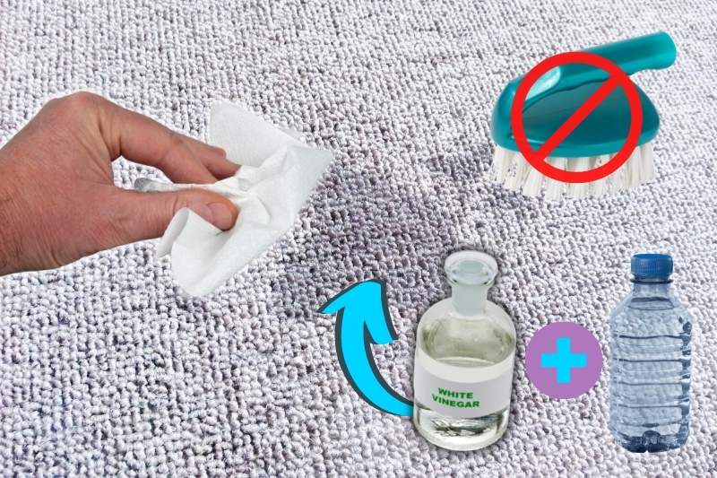 remove fresh bleach stain on carpet