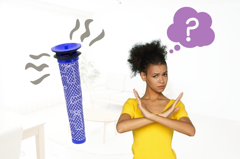 Dyson V6 Filter Smells Causes and Solutions