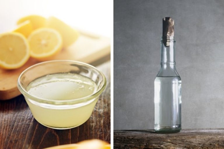 SUBSTITUTING LEMON JUICE FOR VINEGAR visual data 4