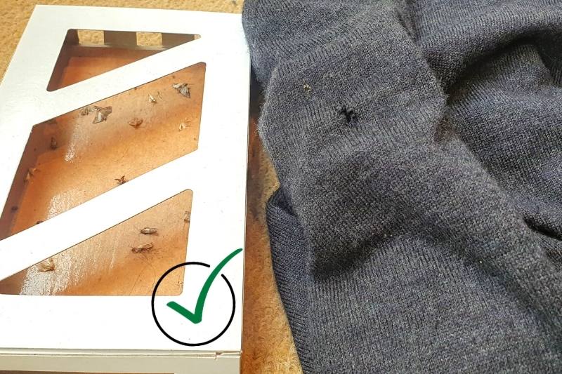 Protect Your Woolens & Cashmeres: Aviro Moth Repellent Hangers