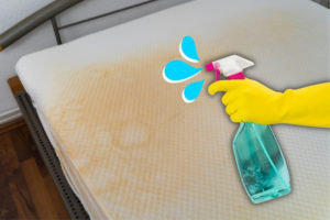 How to Get Wee Out of a Mattress