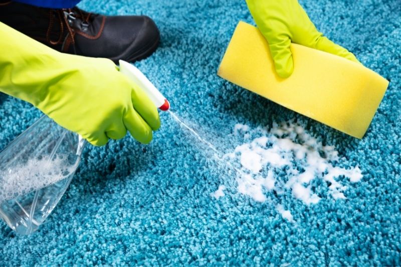 applying cleaning solution to carpet stain