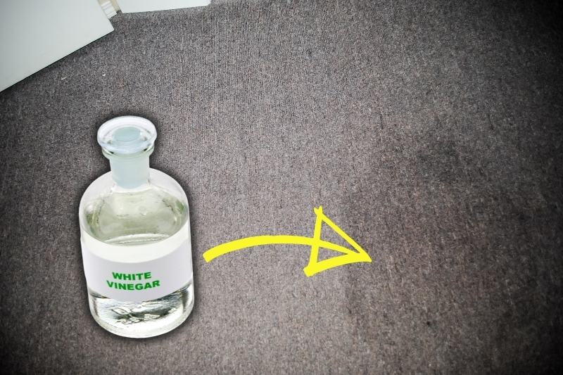 clean carpet stain with vinegar