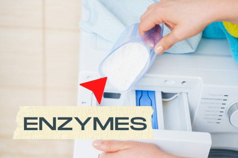 What Does Biological Washing Powder Contain?