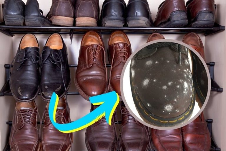 How To Get Rid Of Mouldy Smell In Shoes