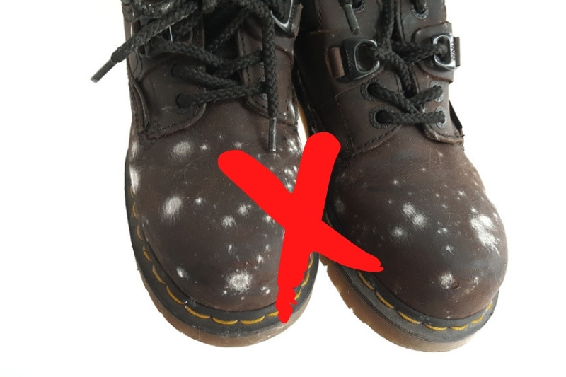 stop mould on shoes