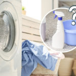 Can You Use Carpet Cleaner in the Washing Machine?