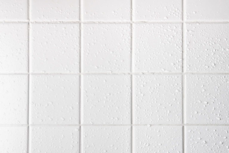 New Bathroom Smells Musty Causes and Solutions