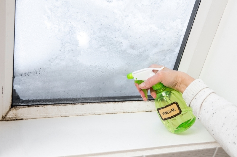 clean windows with vinegar