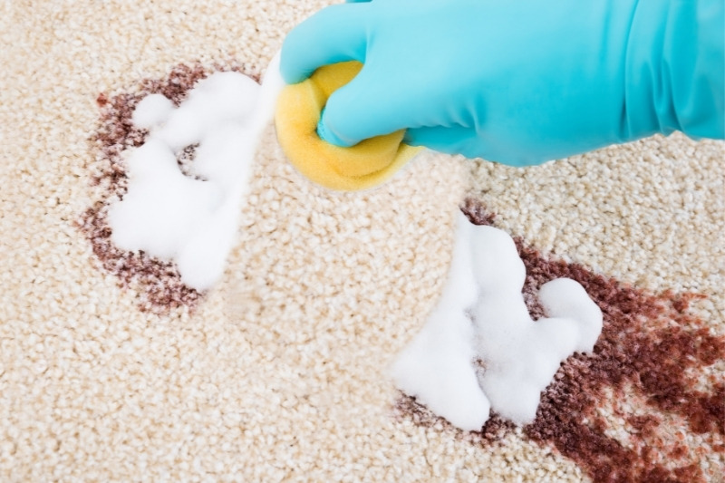 cleaning carpet stain with shaving foam