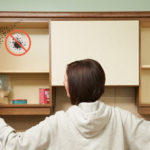 How to Get Rid of Damp in Kitchen Cupboards
