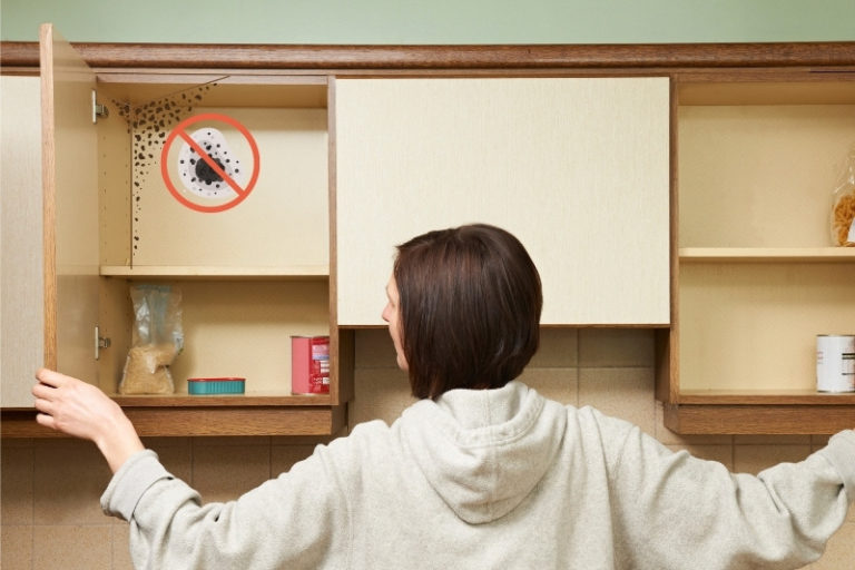 how-to-get-rid-of-damp-in-kitchen-cupboards