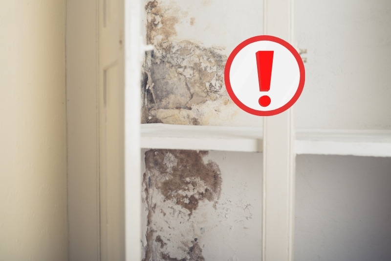 moldy and damp kitchen cupboard