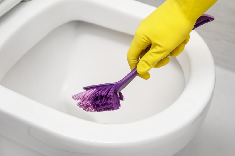 https://inthewash.co.uk/wp-content/uploads/2022/08/cleaning-toilet.jpg