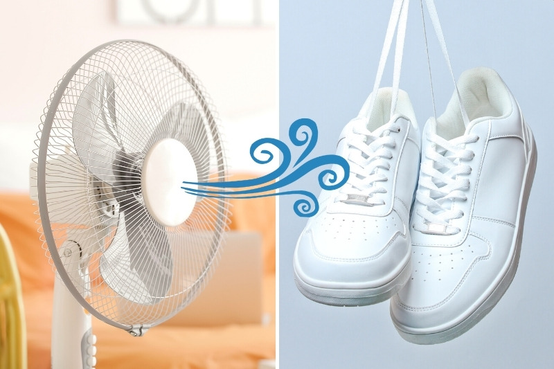dry trainers with fan
