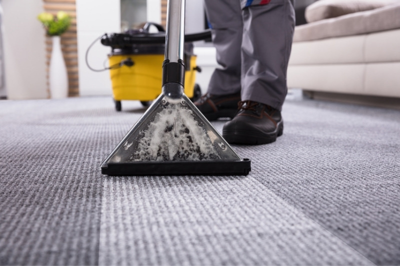 professional carpet cleaning service