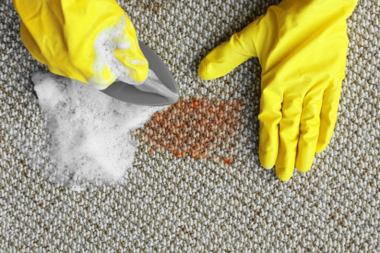 How to Get a Tomato Stain Out of Clothing and Carpets