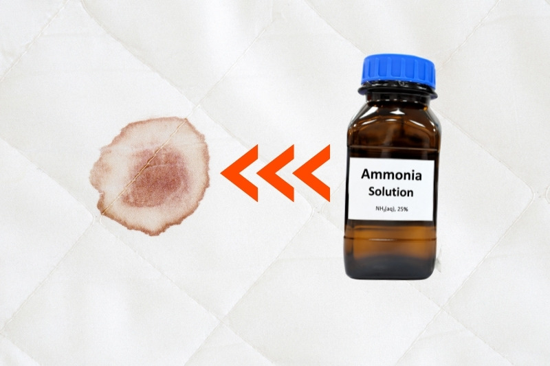 remove old blood stains on mattress with ammonia