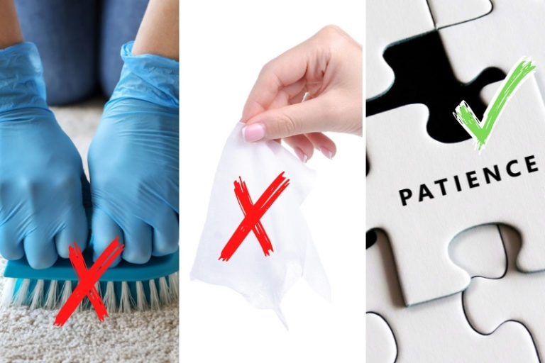 How to Get Lily Pollen Out of the Carpet