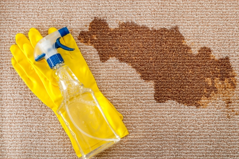 How to Get Coffee Stains Out of Carpet