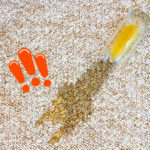 How to Remove Orange Juice Stains from Carpets