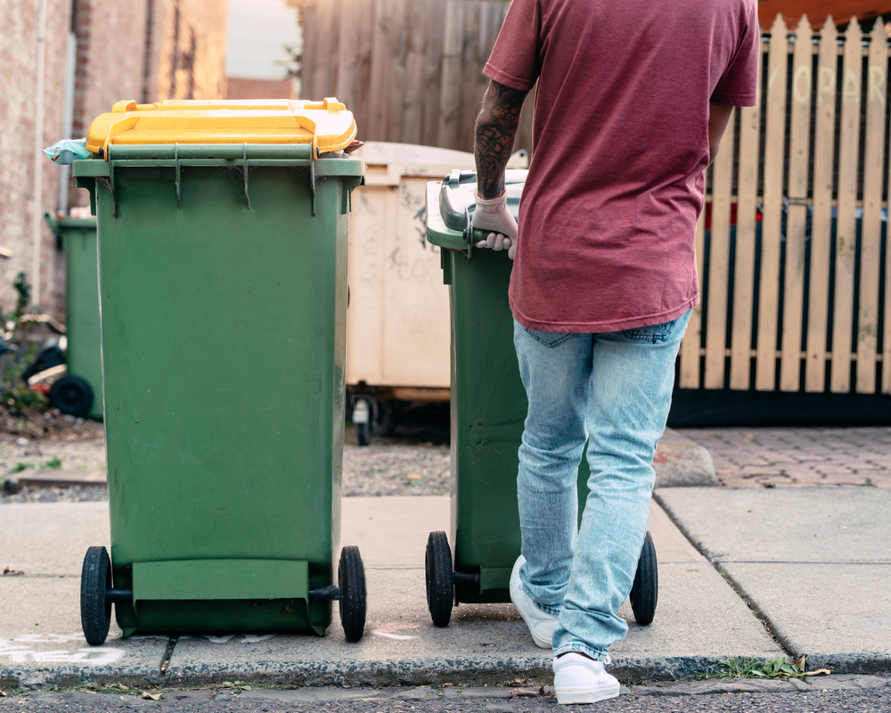 cleaning wheelie bin