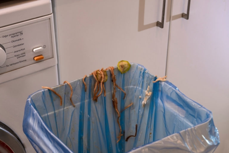 How to Clean a Kitchen Bin