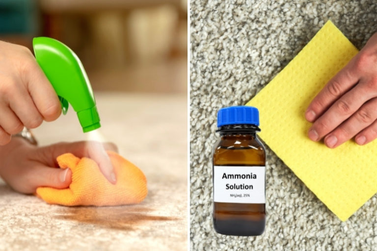 How to Remove Orange Juice Stains from Carpets