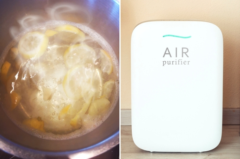 remove curry smell with lemon solution and air purifier