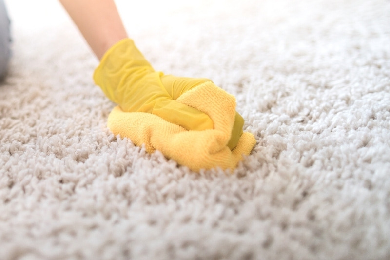 soak up carpet stain with cloth