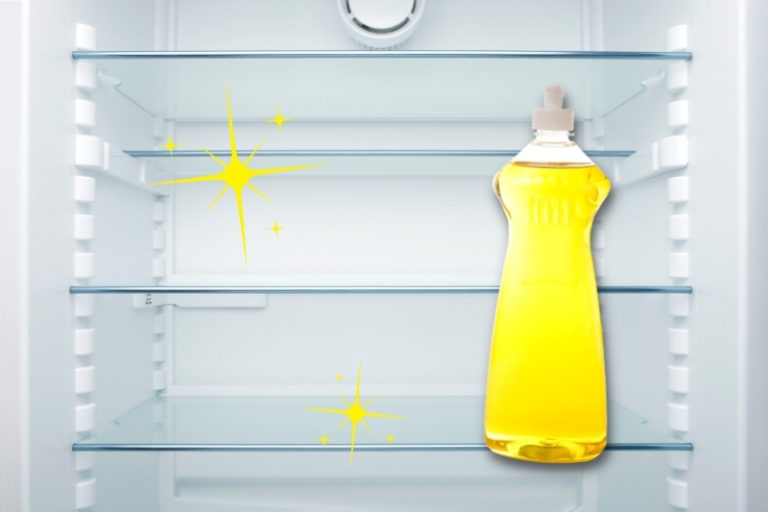 What to Clean a Fridge With