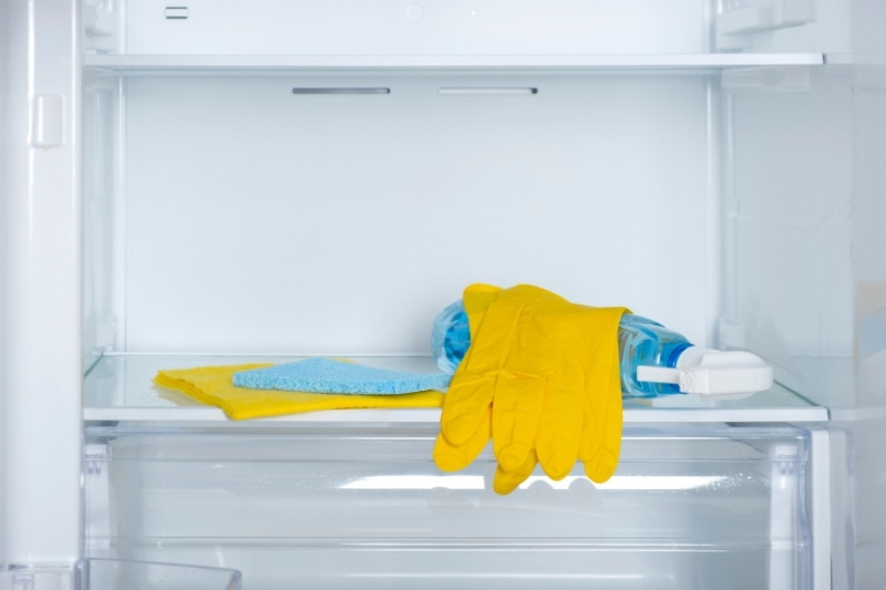 cleaning materials fridge hygiene