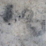 How to Get Coal Out of the Carpet coal on carpet