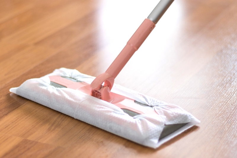 flat or pad mop