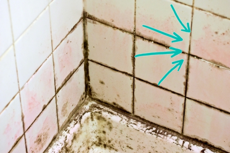 pink mould in shower