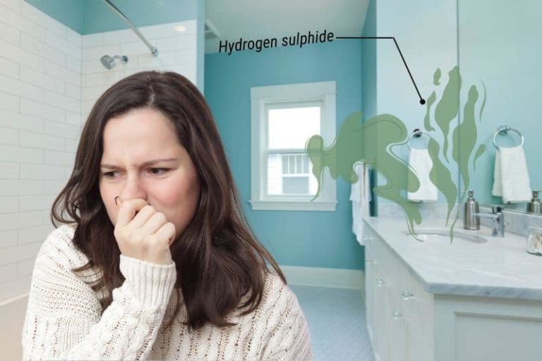 Unused Bathroom Smells Like a Sewer Causes and Solutions