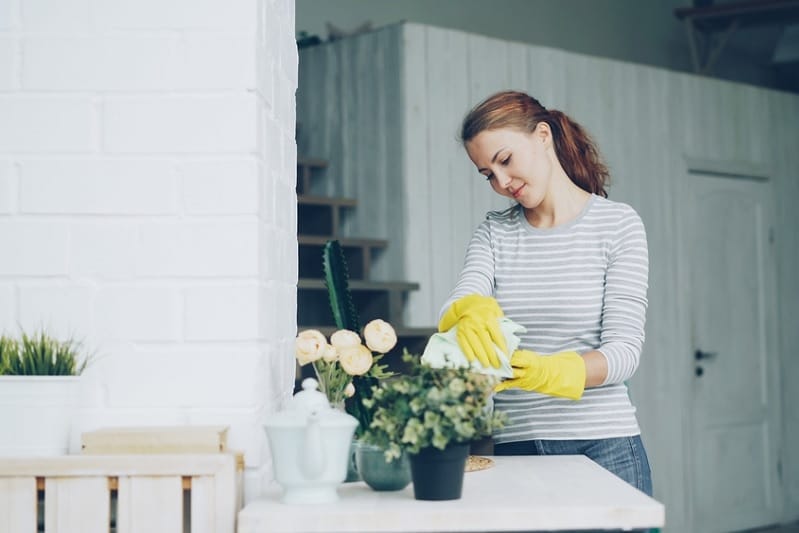 House cleaner cleaning vase and table