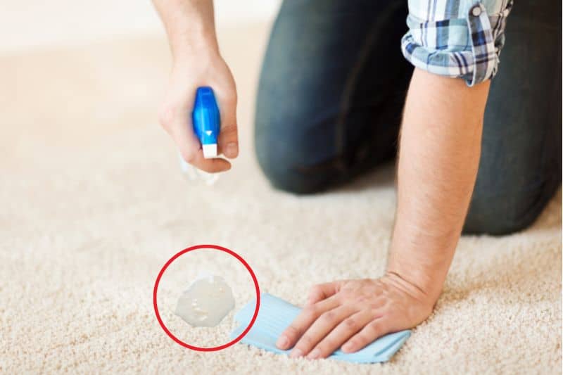 How to Get Vomit Out of the Carpet