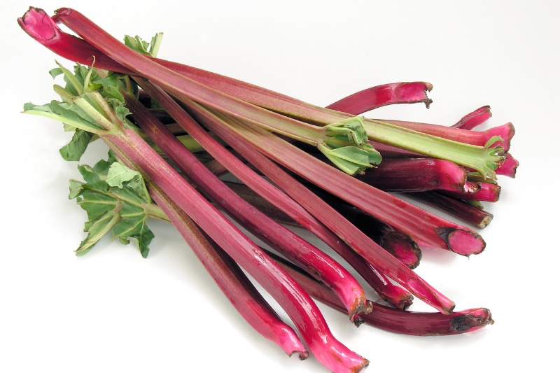 Rhubarb