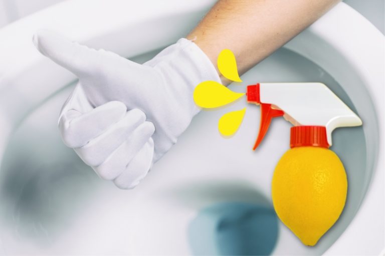 How to Clean a Toilet