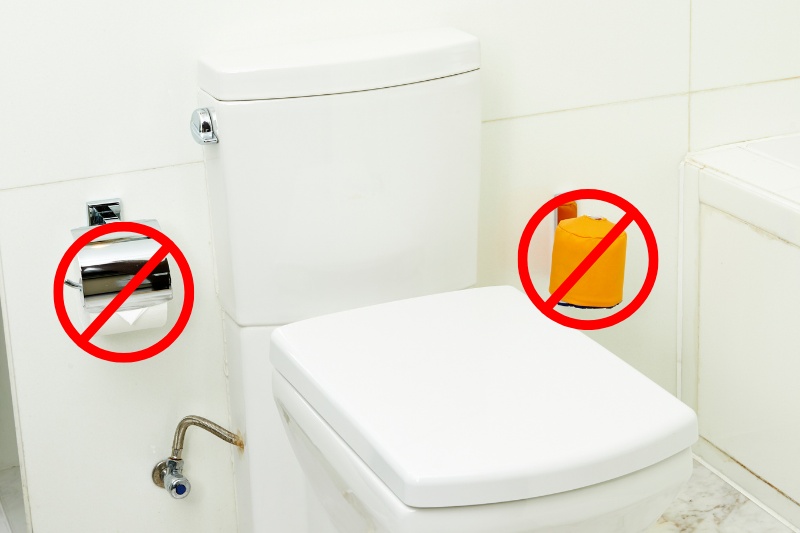 clear toilet area